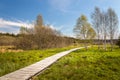 Landscape with a boardwalk - a wooden walkway in the wetlands around the Olsina pond, Czech Republic