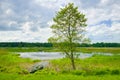 Landscape with boat on the flood waters of Narew river. Royalty Free Stock Photo