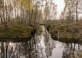 Landscape with a bog ditch, colorful trees on the side of the ditch, tree trunks falling across the water, white birch trunks and Royalty Free Stock Photo