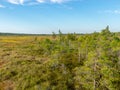 Landscape with bog sunset colors, tree silhouettes, bog grass,