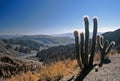 Landscape in Bolivia,Tupiza,Bolivia Royalty Free Stock Photo