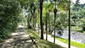 Landscape of the Botanical Garden of Sao Paulo, Brazil.