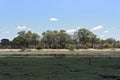 Landscape at Boteti River, Makgadikgadi National Park, Botswana Royalty Free Stock Photo