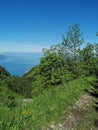 Landscape from bottom of la Dent de Jaman in Switzerland