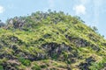 Landscape of the brazilian Cerrado Mineiro Royalty Free Stock Photo