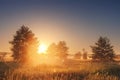 Landscape of bright sunrise over summer misty meadow with trees on clear morning. Natural rural scene of golden field Royalty Free Stock Photo