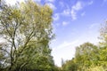 Landscape of british countryside in autumn. Royalty Free Stock Photo