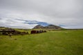 Landscape with broken moais statues in Ahu Tongariki, Easter Island, Chile