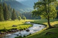 Landscape with brook, meadow, and forest Royalty Free Stock Photo
