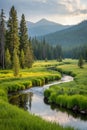 Landscape with brook, meadow, and forest Royalty Free Stock Photo