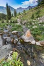 Landscape brook stream water nature summer Royalty Free Stock Photo