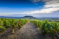 Landscape of Brouilly mountain and vineyards, Beaujolais, France Royalty Free Stock Photo