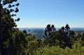 Landscape in Bunya National Park