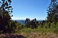 Landscape in Bunya National Park