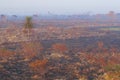 Landscape burned after forest fire in the Ivinhema River Floodplains State Park, Mato Grosso do Sul, Midwest of Brazil