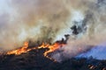 Landscape Burning with Bright Flames and Smoke during California Woolsey Fire Royalty Free Stock Photo