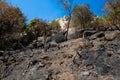 Landscape with burnt forest and alive trees in Camorza Gorge near Madrid