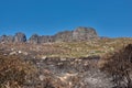 Landscape of burnt trees after a bushfire on Table Mountain, Cape Town, South Africa. Outcrops of a mountain against