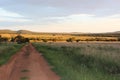 Landscape bush veld road Royalty Free Stock Photo