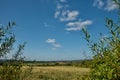 Landscape through the Bushes at Pulborough Royalty Free Stock Photo