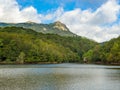 Landscape in a calm water swamp with trees and mountains.