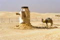 Landscape with Camel in Ong Jemel desert in Tunisia Royalty Free Stock Photo