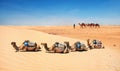 Camels in sand dunes of Sahara desert. Tunisia, North Africa Royalty Free Stock Photo