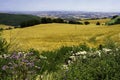 Landscape in Campobasso province, Molise, Italy Royalty Free Stock Photo