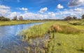 Landscape with canal in Amsterdamse waterleidingduinen