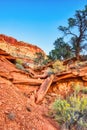 Landscape in Capitol Reef National Park, Utah Royalty Free Stock Photo
