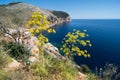 Landscape capo figari cala greca