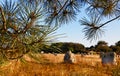 Landscape in Carnac Royalty Free Stock Photo