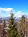 Landscape in Carpathian mountains, Ukraine Royalty Free Stock Photo