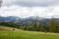 Landscape in Carpathians in auturmn