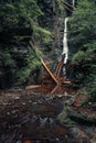 Landscape of cascading Silverthread Falls Waterfall in the park with trees, vertical shot