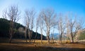 Landscape at Catalan Pyrenees in winter Royalty Free Stock Photo