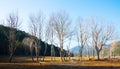 Landscape at Catalan Pyrenees in winter Royalty Free Stock Photo