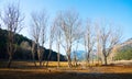 Landscape at Catalan Pyrenees in winter Royalty Free Stock Photo