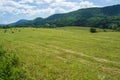 Landscape - Catawba Valley