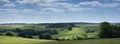 Landscape with cattle in the belgian ardennes near stavelot Royalty Free Stock Photo