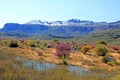 Landscape in the Cederberg, South Africa.