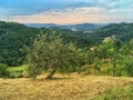 Landscape in Central Serbia