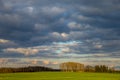 Landscape with cereal field, trees and blue sky Royalty Free Stock Photo