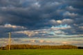 Landscape with cereal field, trees and blue sky Royalty Free Stock Photo