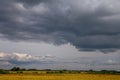 Landscape with cereal field, trees and cloudy blue sky Royalty Free Stock Photo