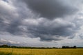 Landscape with cereal field, trees and cloudy blue sky Royalty Free Stock Photo