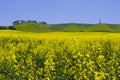 Landscape Cherhill Wiltshire Royalty Free Stock Photo