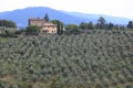 Landscape of the Chianti hills with vineyard cultivation.  Cultivation of vines and olive trees near Florence. Royalty Free Stock Photo