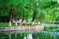 Landscape of Chinese park. Kunming city. China.