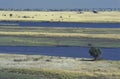 Landscape at Chobe National Park, Botswana